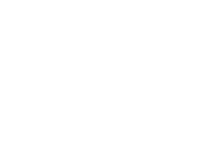 9 95989 summer icon sommer icon